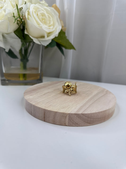 Anillo Mar