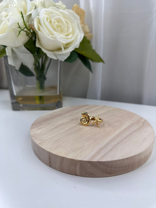 Anillo Caracol y Estrella