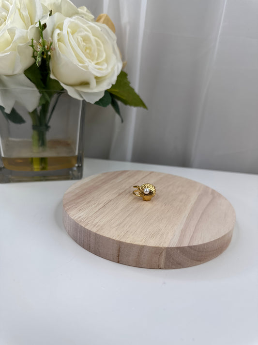 Anillo de Concha